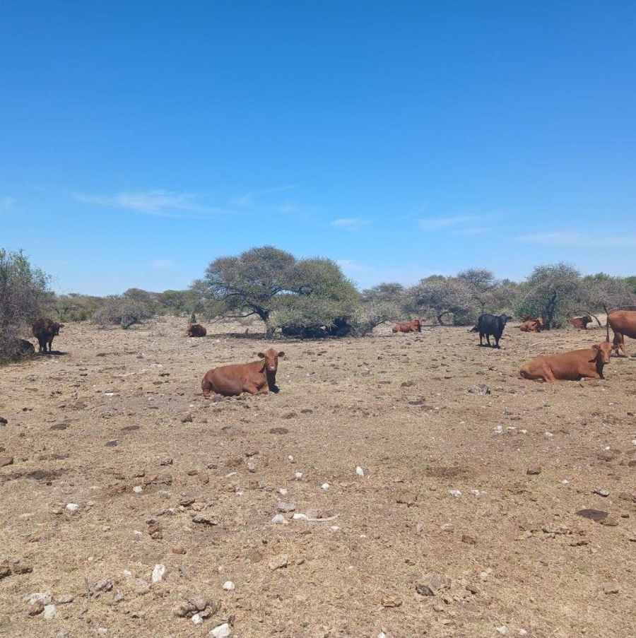 Commercial Property for Sale in Barkly West Rural Northern Cape